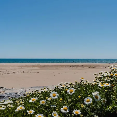 Villa Pavillon Pour 6, Proche Plage, Avec Terrasse, Parking Et Animaux Acceptes - Fr-1-409-257